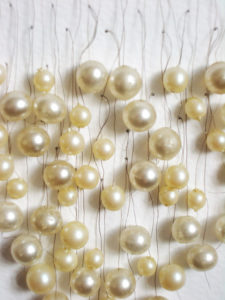 Scham (66 Perlen), Schamhaare, Perlen auf Papier, 2011